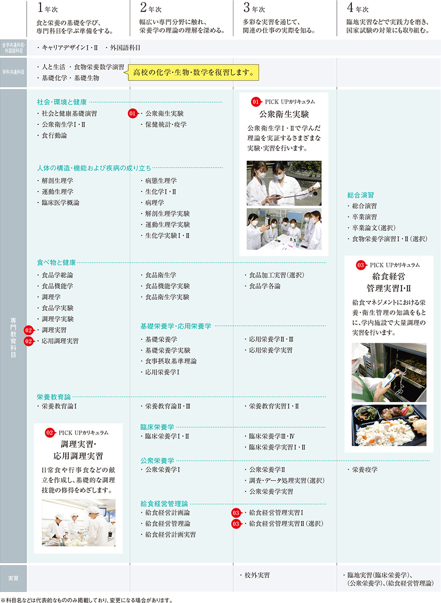 カリキュラム 成長モデル 人間科学部 食物栄養学科 学部 大学院 神戸松蔭女子学院大学